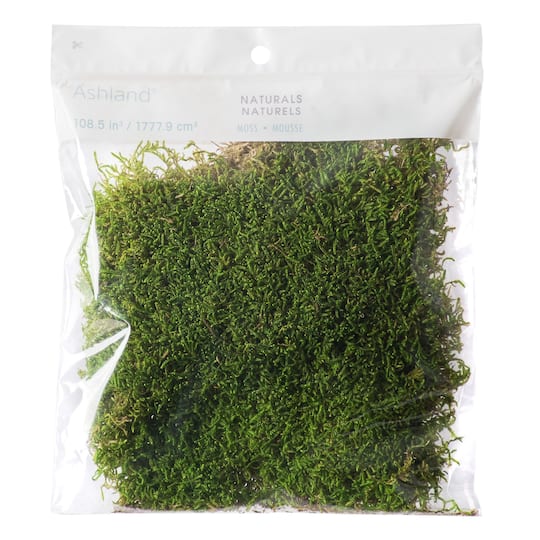 12 Pack: Forest Green Preserved Moss by Ashland&#xAE;